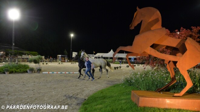Geslaagde Foal Auction 111