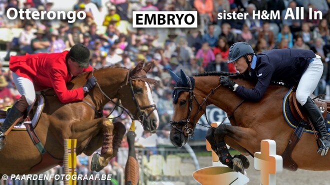 Philippaerts koopt embryo uit zuster All In