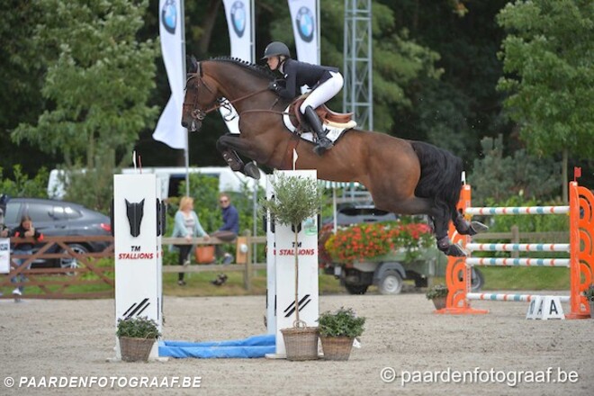 Vranken 5de in de CSI2* GP van Opglabbeek!
