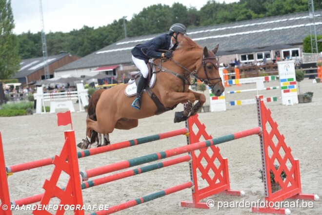 CSI2* Zandhoven: D'Haese en Vermeiren top 5