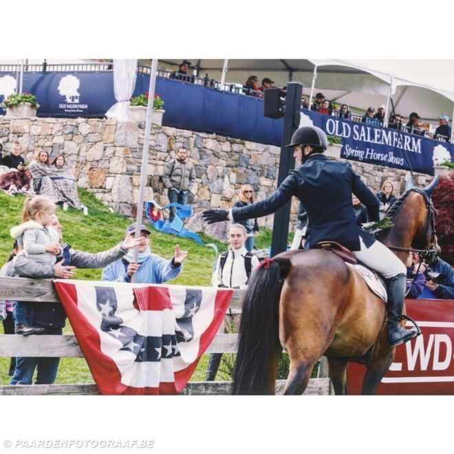 Belgische paarden presteren weer wereldwijd