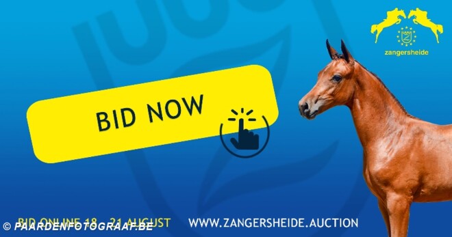 Z Online Auction eindigt vanavond