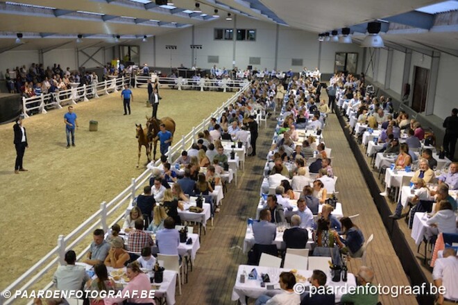 Geslaagde Auction Twinkeling