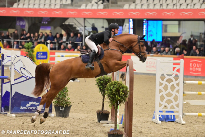 Top 10-klasssering voor Pieter Kenis in de CSI2* GP Van Opglabbeek!