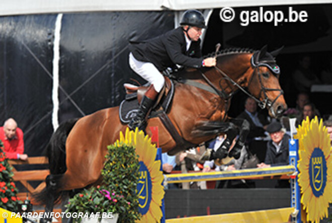 KWPN en Big Star bouwen voorsprong uit op WBFSH-ranglijst
