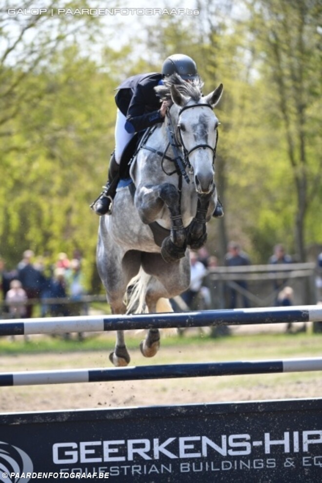 Jeleena de Muze naar Stephex Stables