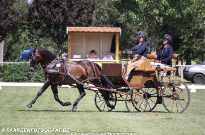 Sterke start voor Belgen in Kisber-Aszar