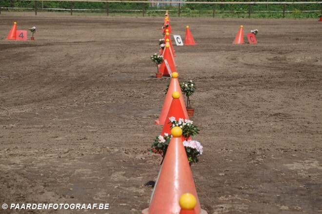 Trainingsdag Vaardigheid - 8/12/2019