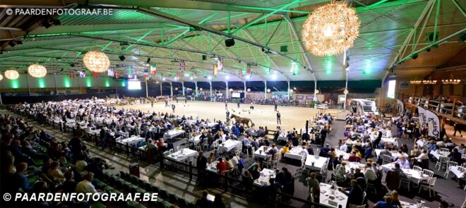 Horseman Elite Auction is schot in de roos