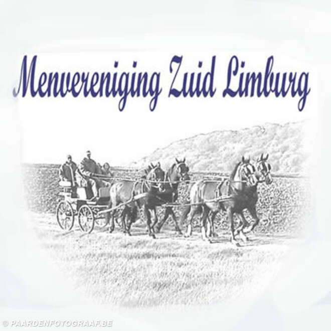 Heijenrath 2014 internationaal voor pony's