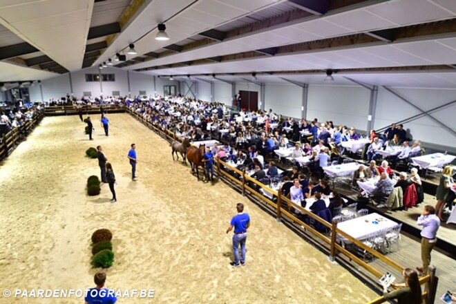 Unieke kansen dit weekend tijdens Auction Tw