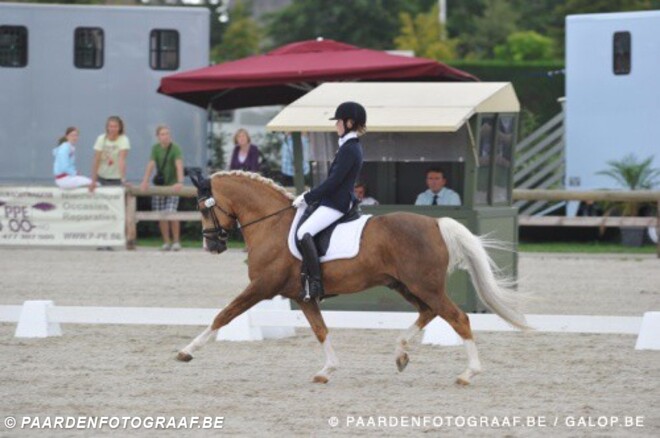 CDIO Saumur: België wint 2 maal landenprijs
