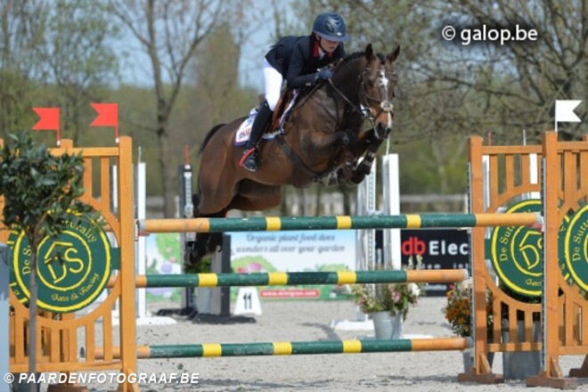 Belgen winnen landenprijs pony's