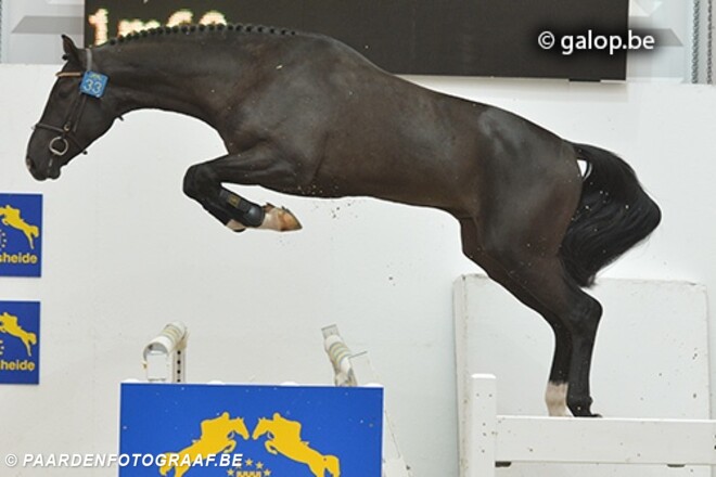 Krismar en Hunters kopen Scato Z