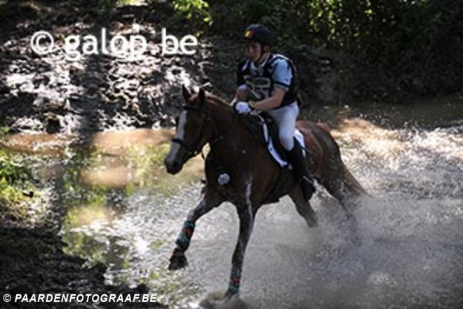 Rik Heylen Belgisch kampioen eventing pony"s