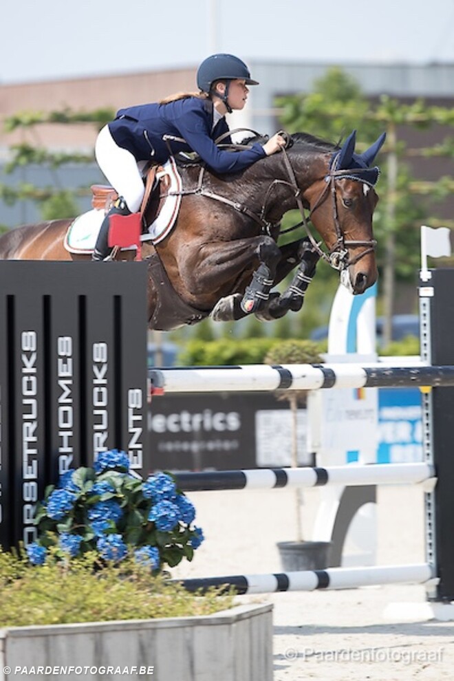 CSI1* Peelbergen: De Hornois wint opnieuw!