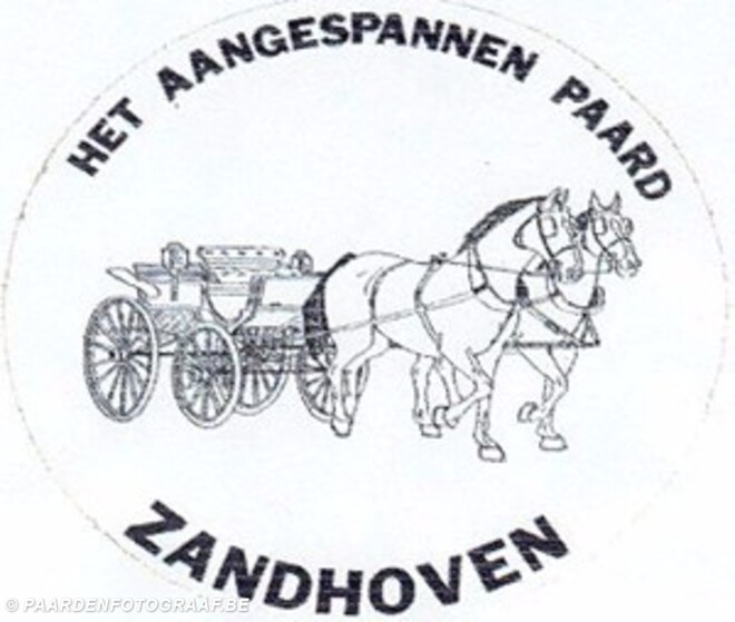 Zandhoven, de uitslagen