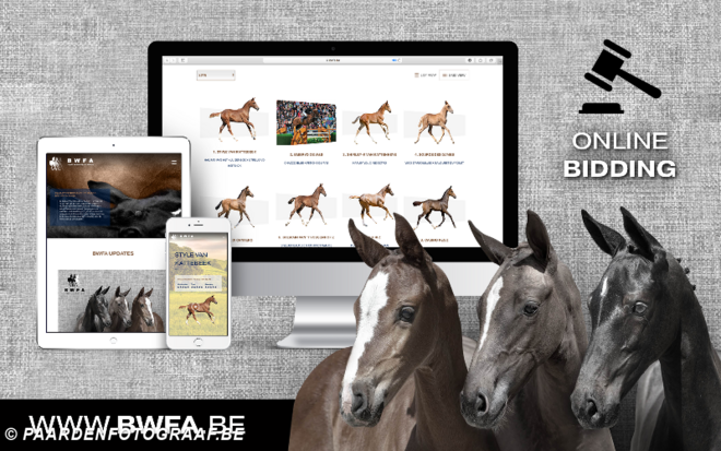 Bied online tijdens BWFA