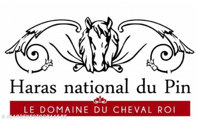 Dossier Le Pin au Haras - CH-M-A1 - 15-18/09/2022