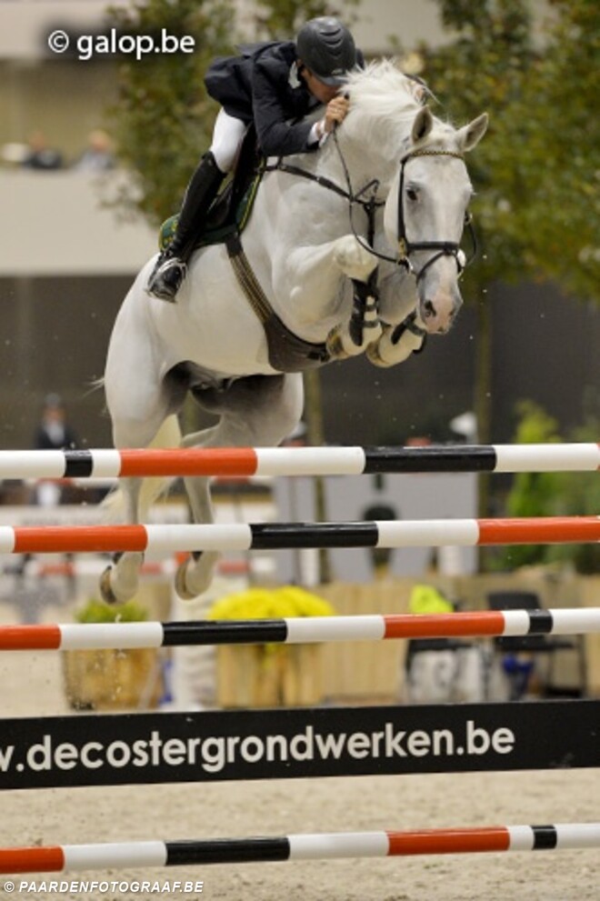 Belgische paarden winnen in Drachten