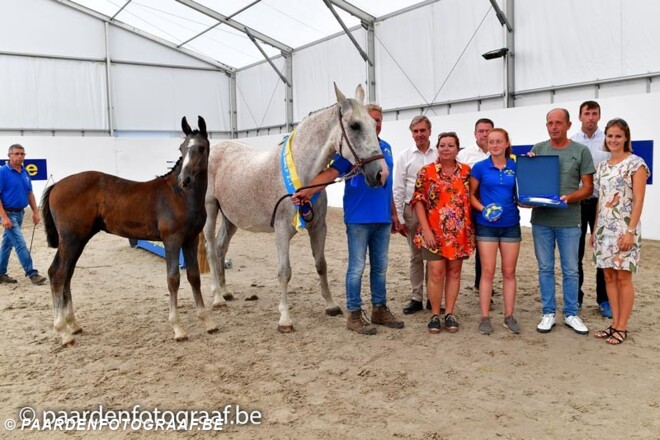 Asca Z & Toulon leveren kampioenen op dag 2