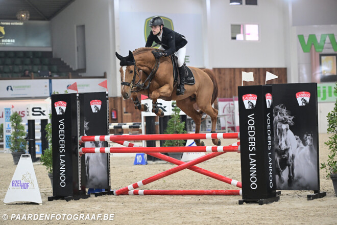Fokkers en hengstenhouders kijken uit naar Lannoo Belgian Stallion Competition powered by Eurohorse
