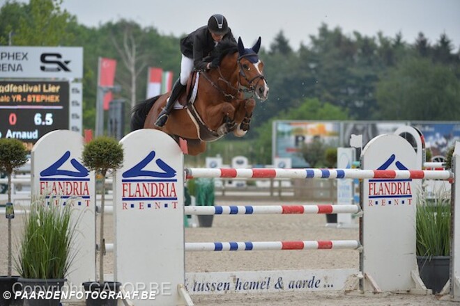 CSIU25 Valkenswaard: Gaublomme in bloedvorm