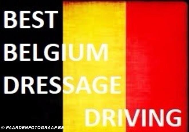 Best Belgium Dressage - update