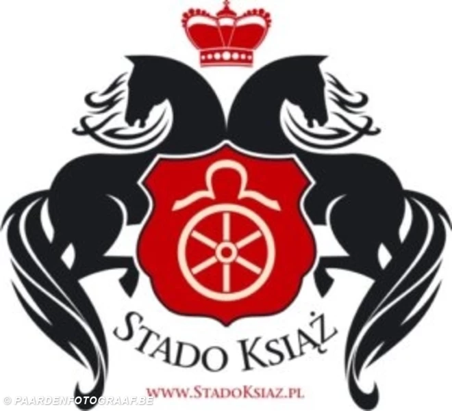 Dossier  CAI KSIAZ (POL) - 07 - 10/07/2022