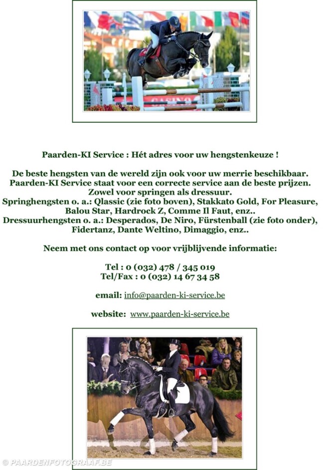 Paarden-KI Service : Hét adres voor uw hengstenkeuze !